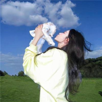 鸟儿们的奇幻冒险